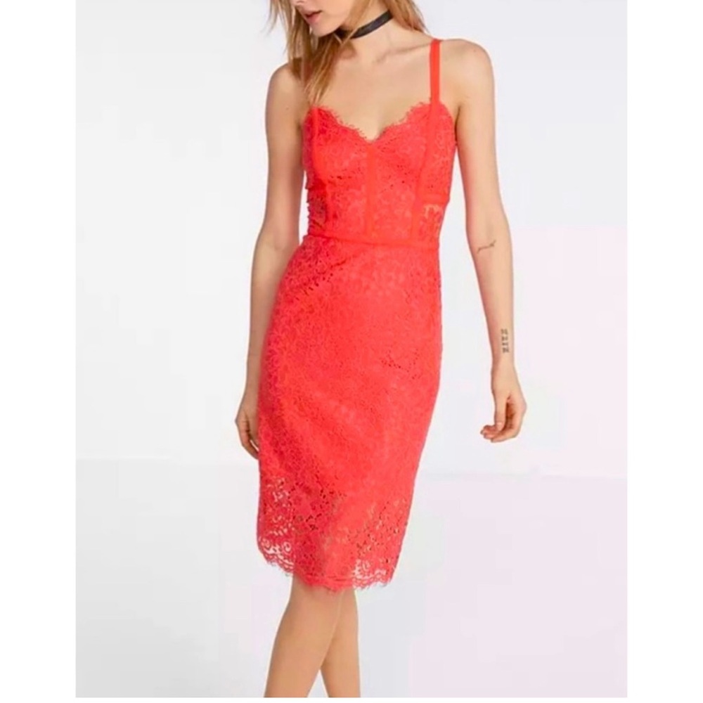 Express Lace Piped Sheath Dress, Size 4, in Coral
